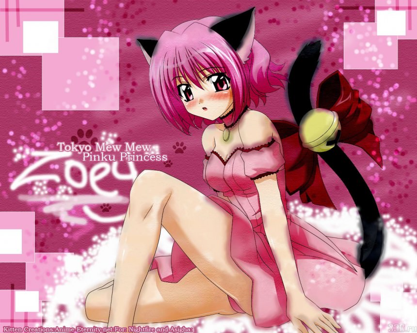 Tokyo Mew Mew,  